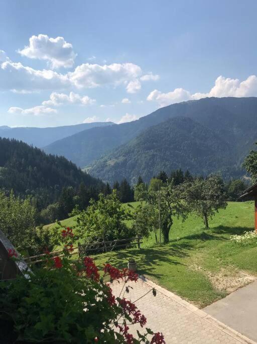 הוילה Ljubno Tourist Farm Kladje מראה חיצוני תמונה
